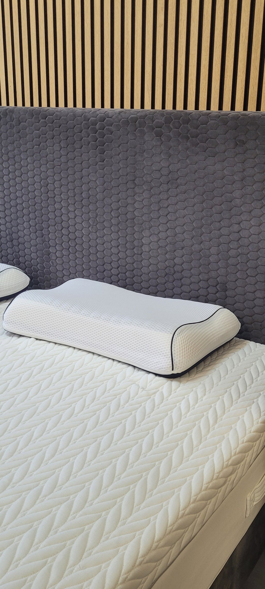 Technogel Adjustable Anatomic Curve