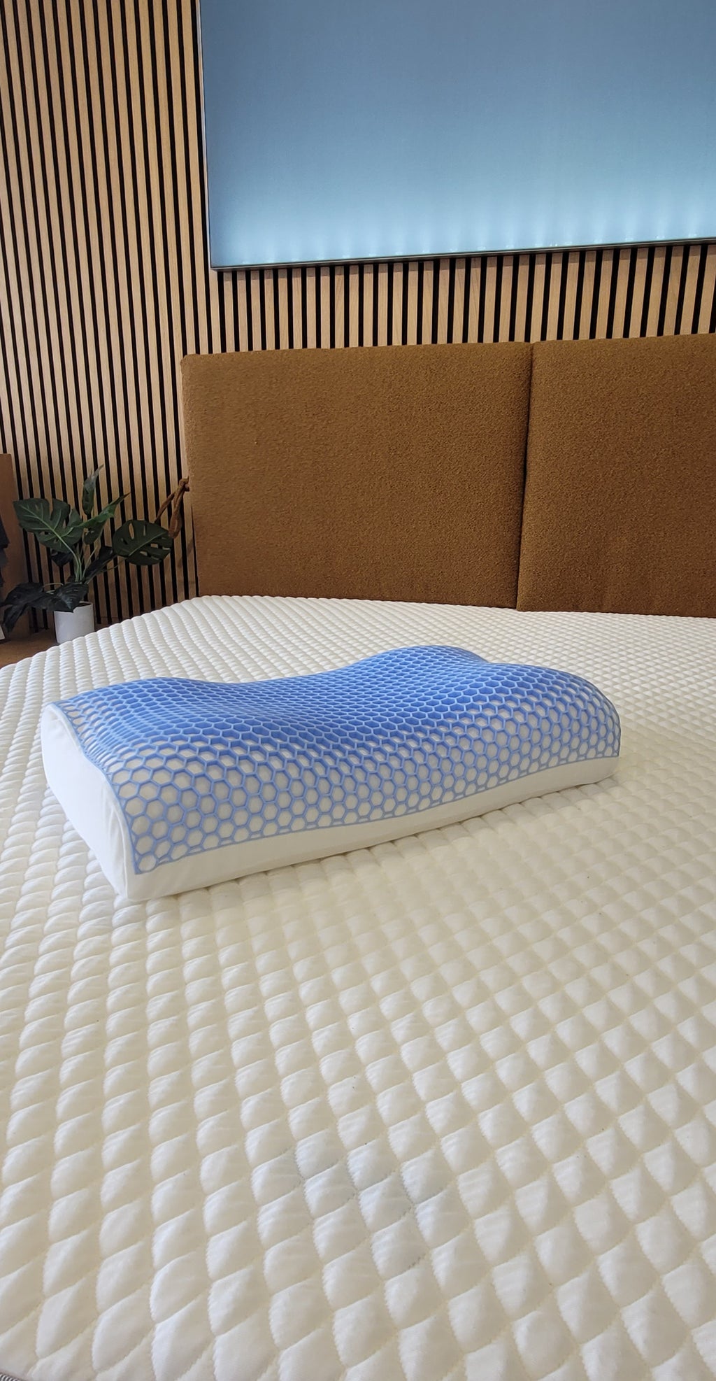 Hexagel Ergo Nackenstützkissen