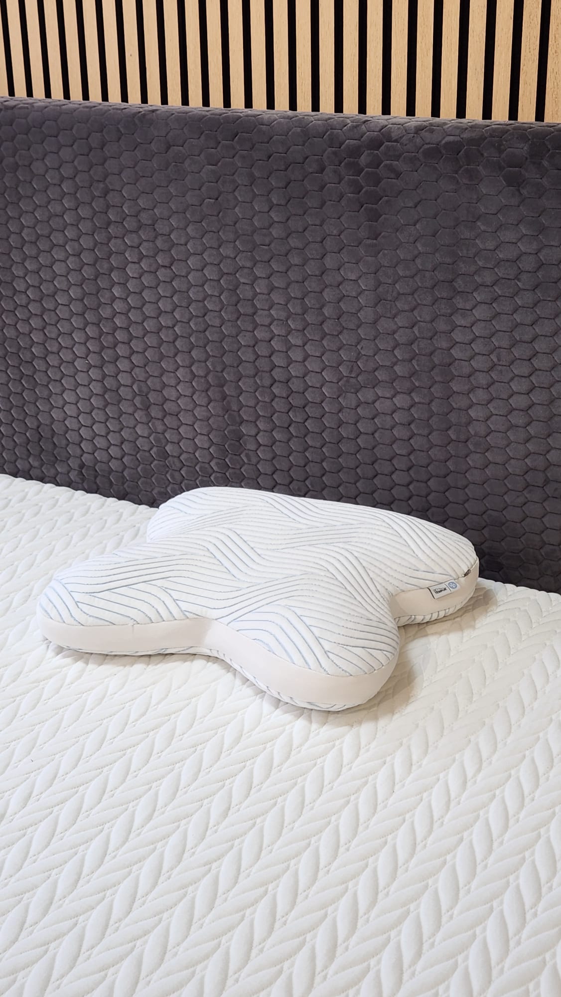 TEMPUR All-Around SmartCool™ Schlafkissen