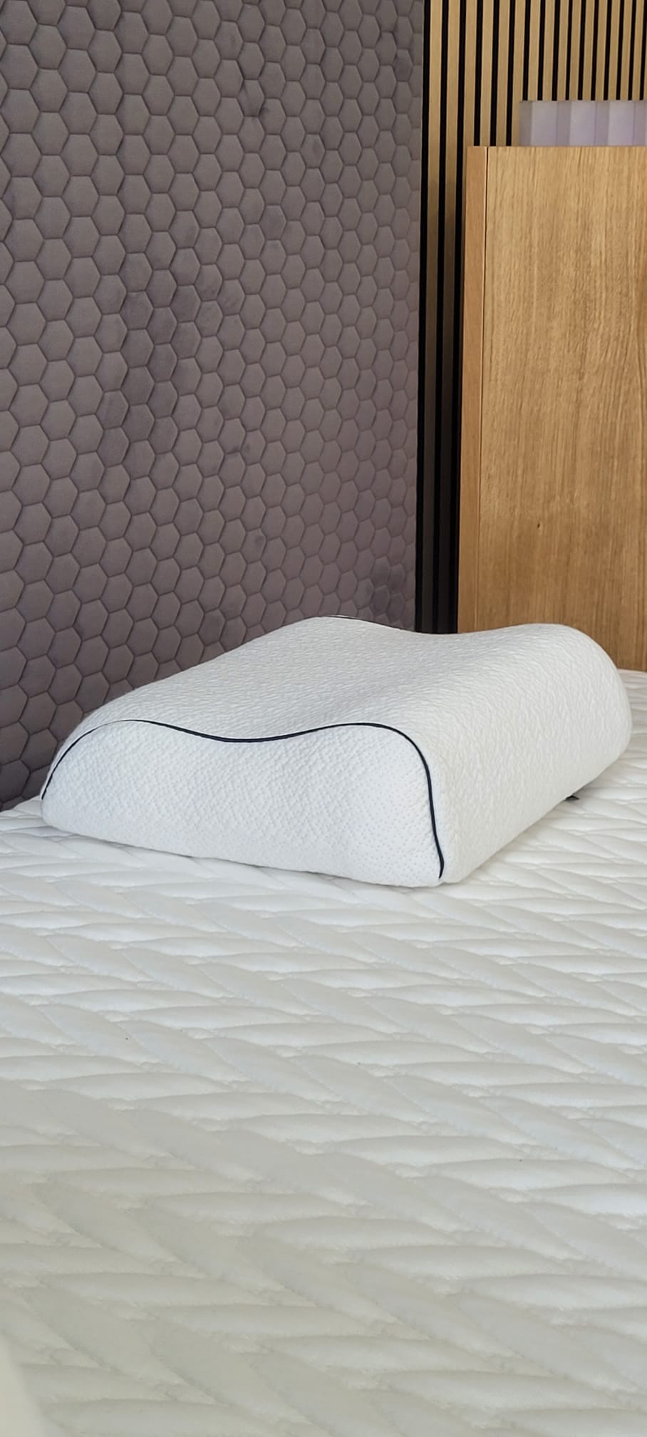 Technogel Travel Anatomic travel pillow