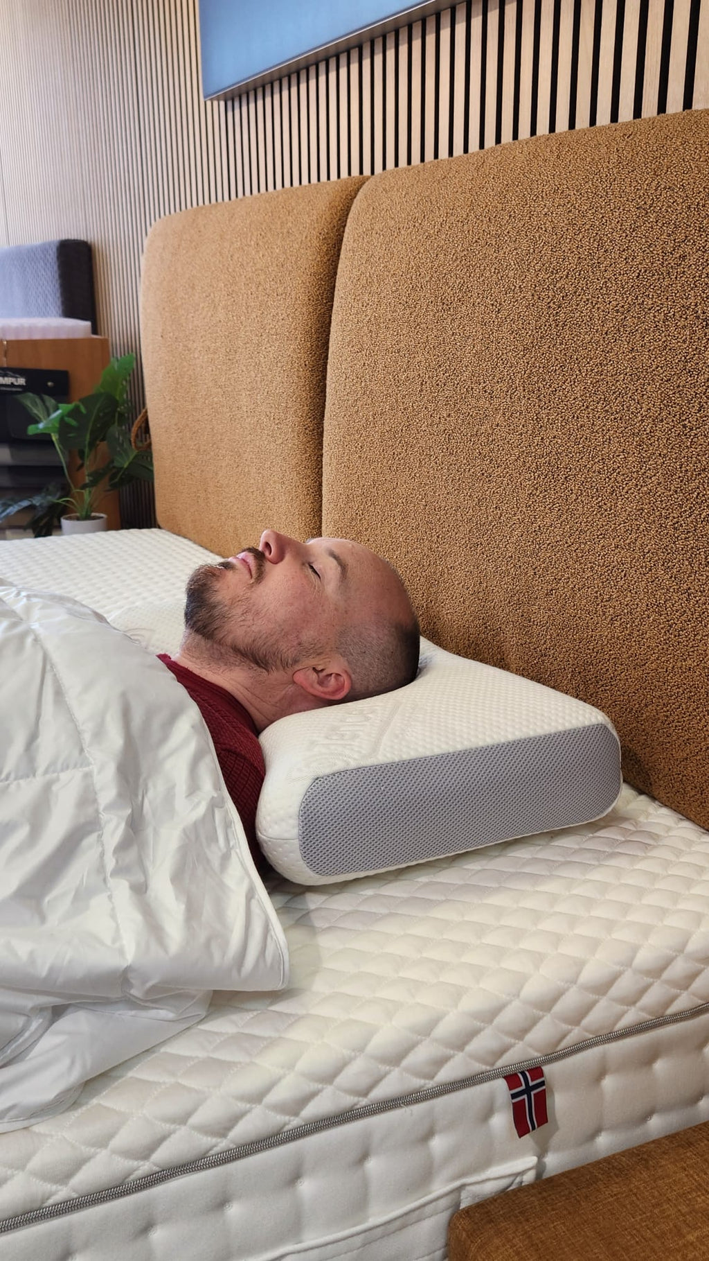 Original Lunora Luxe Comfort Pillow